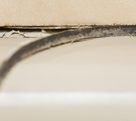 Top quality grout repair service in the area of Houston Professional grout repair in Houston